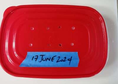 bacon curing box