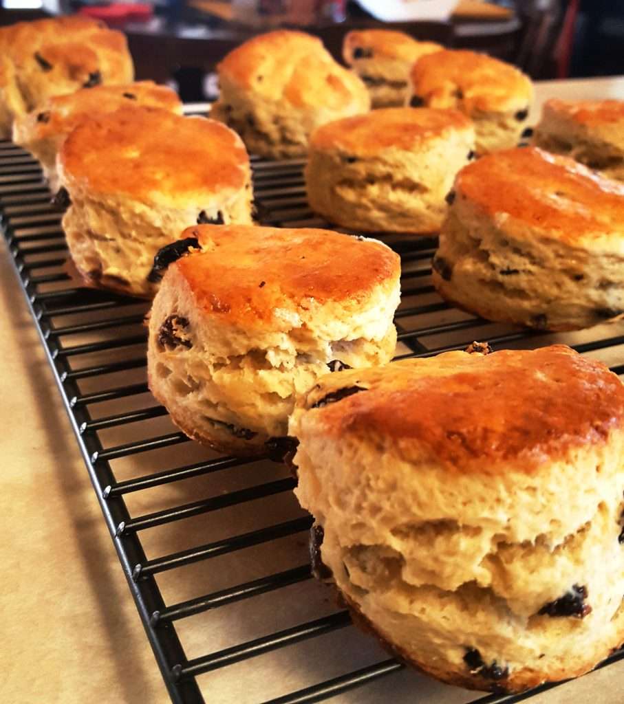 English Raisin Scones