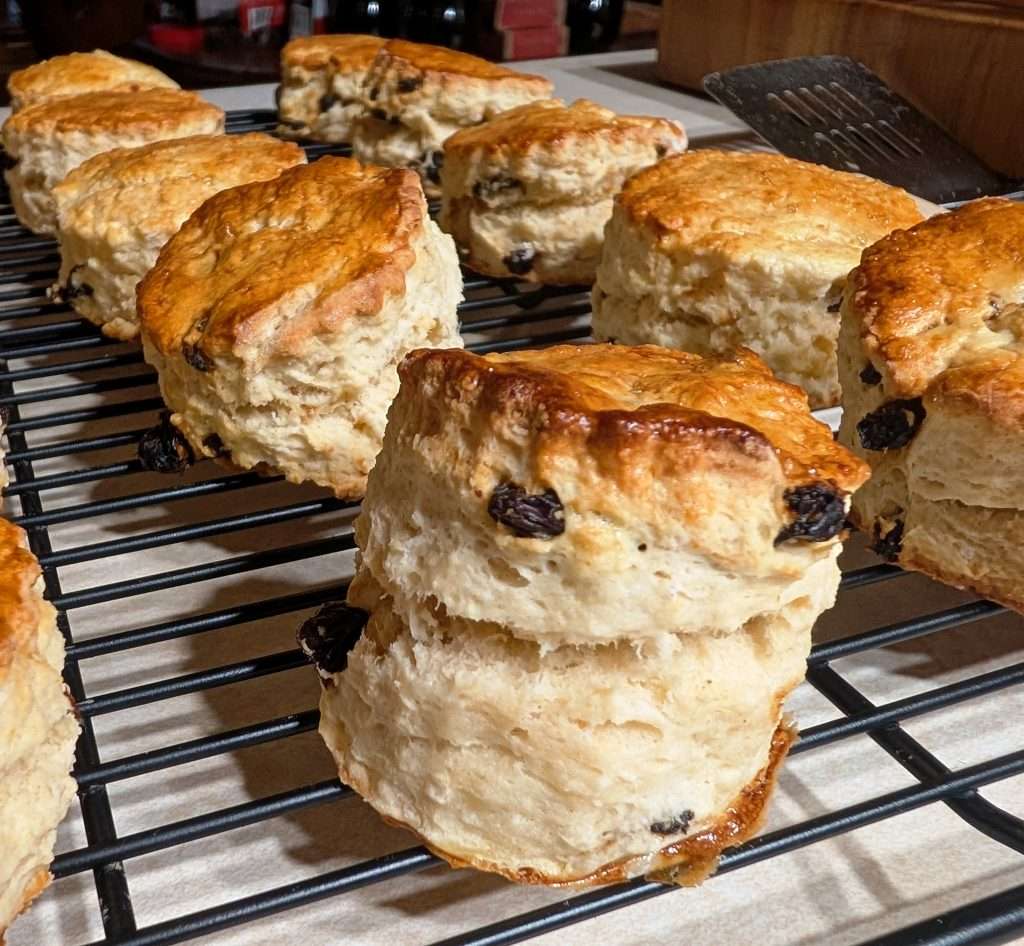 Raisin English Scone