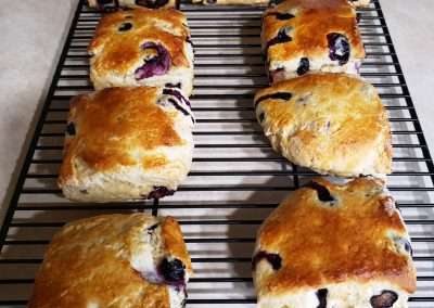 blueberry scones